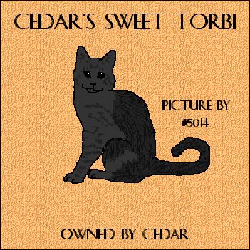 Sweet Torbi