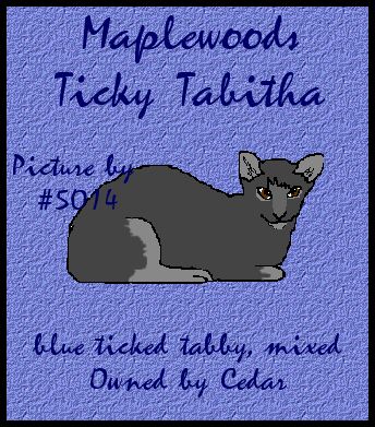 maplewoods ticky tabitha