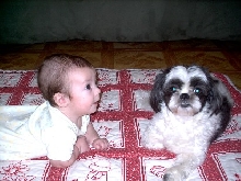 Sebastian makes a new friend.