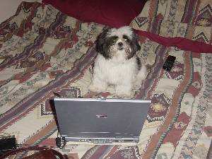 Computer