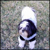 Sebastian Outside