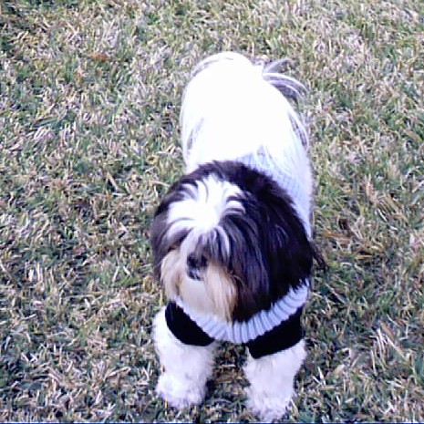 Sebastian Outside