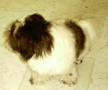 sebastian looking away