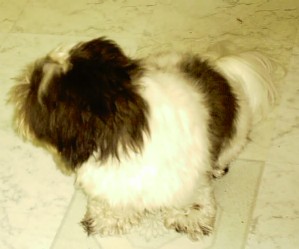 sebastian looking away