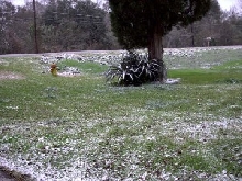 Snow in South Louisiana