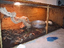 mangrove monitor setup 3