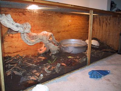 mangrove monitor setup 3