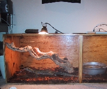 Mangrove setup