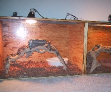 mangrove/gtp setup