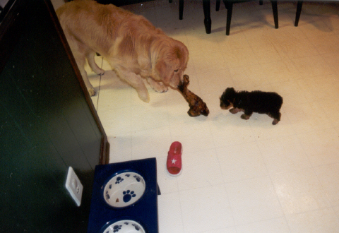 The bone is bigger than me!!!!