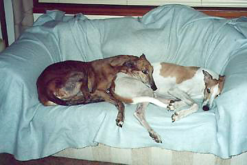 Butt-pillow 2