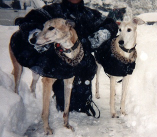 Bambi & Bryn