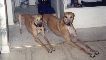 Garbo & Friend