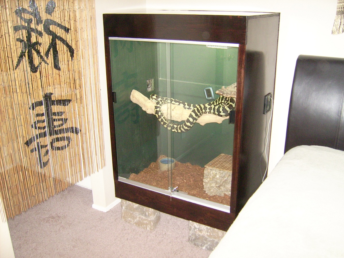New Jungle Enclosure