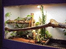 Quasi's cage