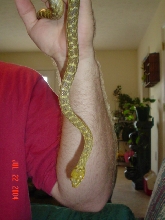 PLEASE IDENTIFY