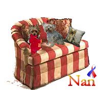 couch sig tag