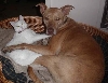 bestfriends