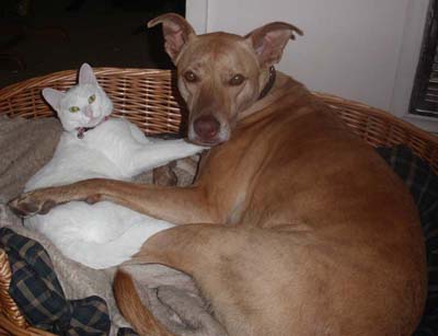 bestfriends