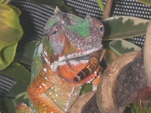YUMMY!