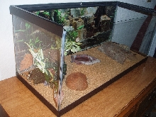 Zeb's House