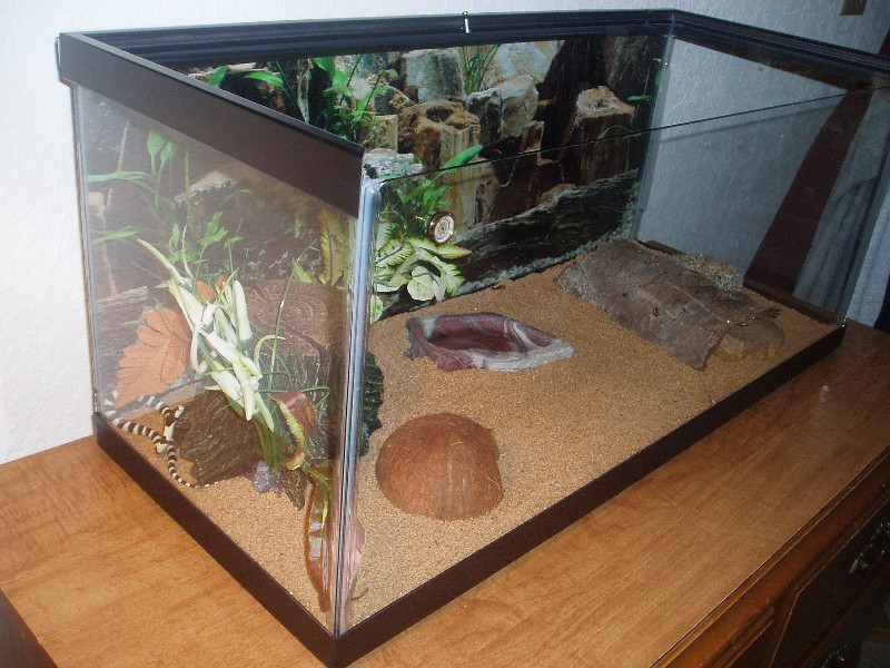 Zeb's House