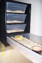 boaphile rack
