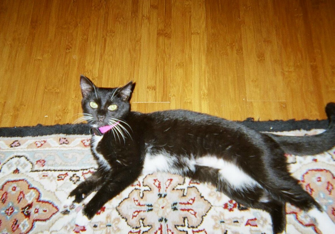 Rita