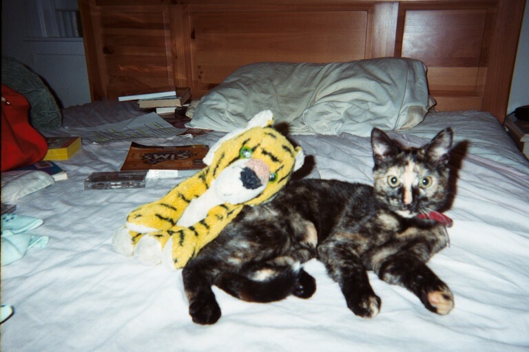 May and the tigger