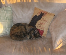 Me on the new confused couch--Josie