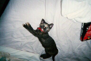 Who, me?