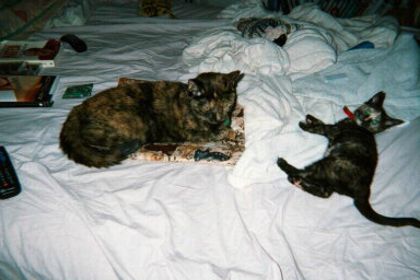 Josie and May (aka: Rugrat)