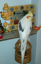 Kelkush and his first photo
