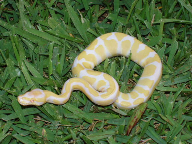 16-1a