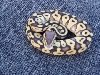 female pastave 50% het axanthic