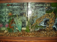 CHICLID farm
