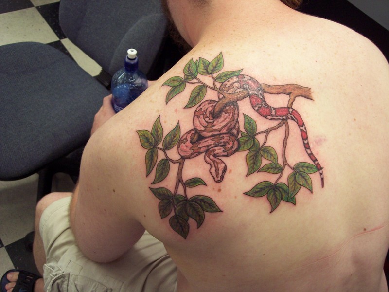 My new Tat