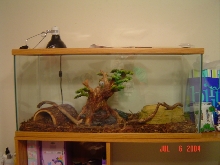 My BP tank