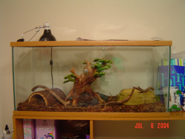 My BP tank