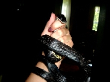 black rat2