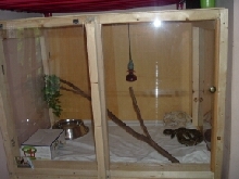 Eve's Cage