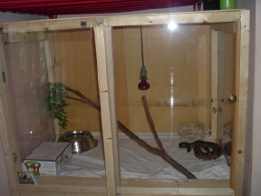Eve's Cage