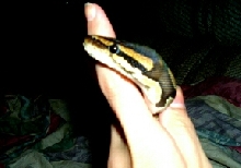 my baby