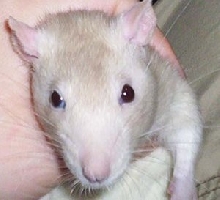 Time for my closeup