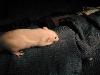 Edward partially baby shed