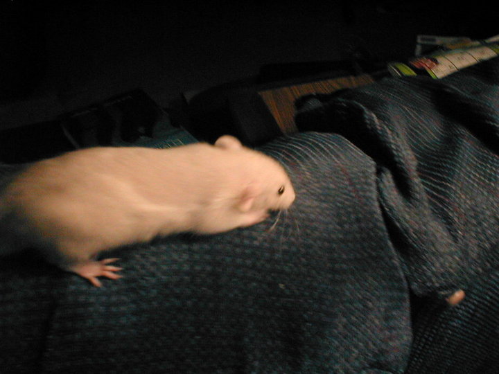 Edward partially baby shed