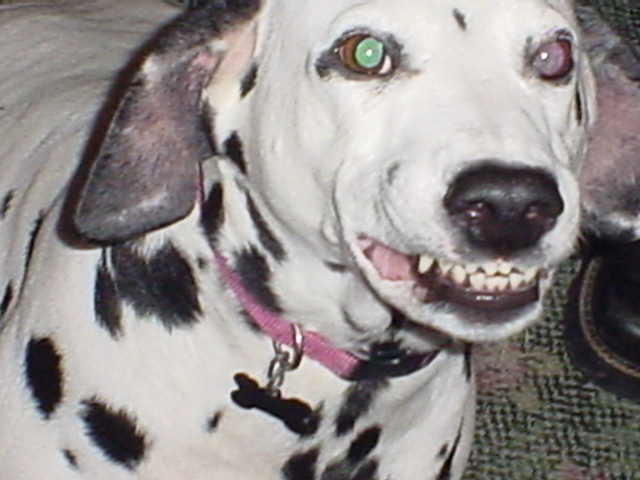 Smiling