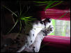 Keeping Watch