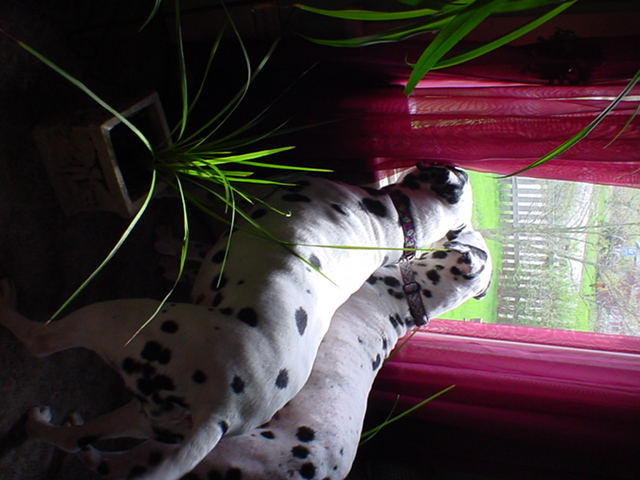Keeping Watch