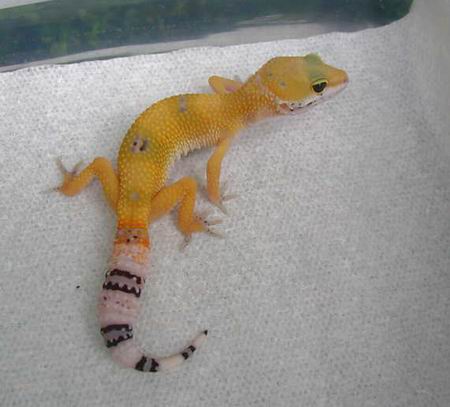 first baby.. growing up